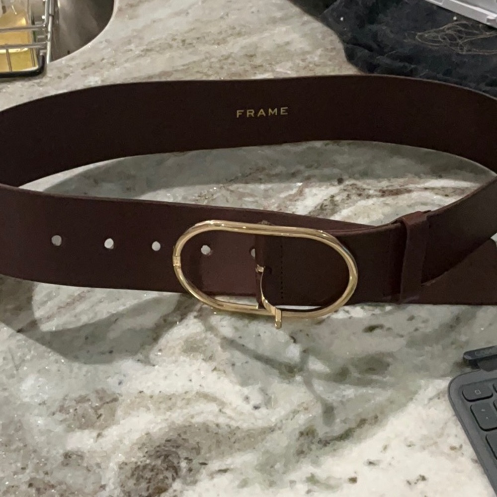 Frame Belt NWOT